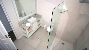 A modern bathroom with a glass shower enclosure, a white sink, and a large mirror.