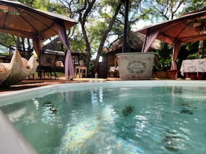 Exterior detail - Buyskop Lodge (Bela-Bela)