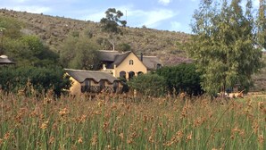 A house with a thatched roof, surrounded by tall grass and trees. - Tides Lodge (Malagas)