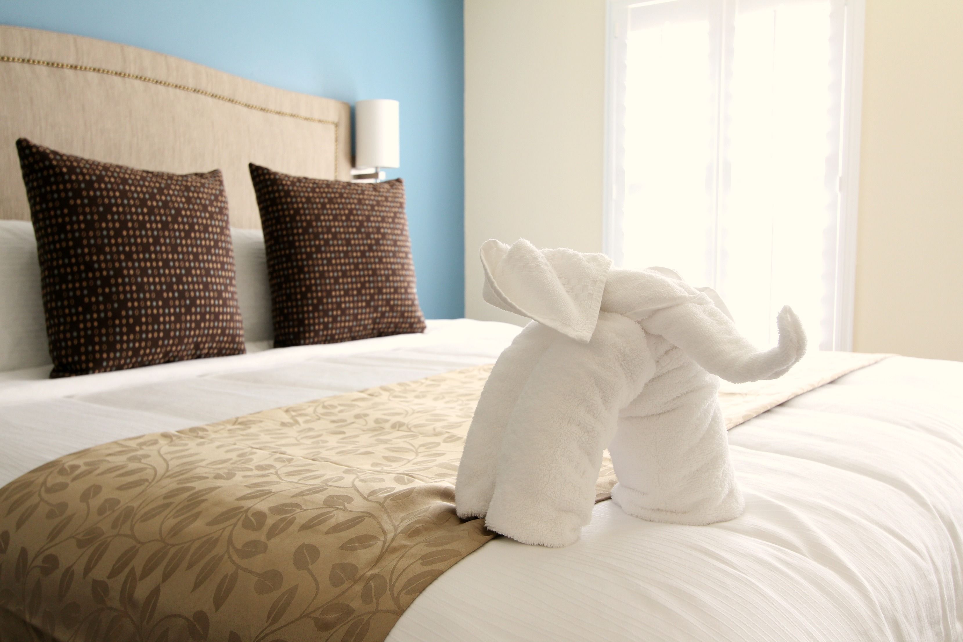 standard room, 1 queen bed | living area | flat-screen tv