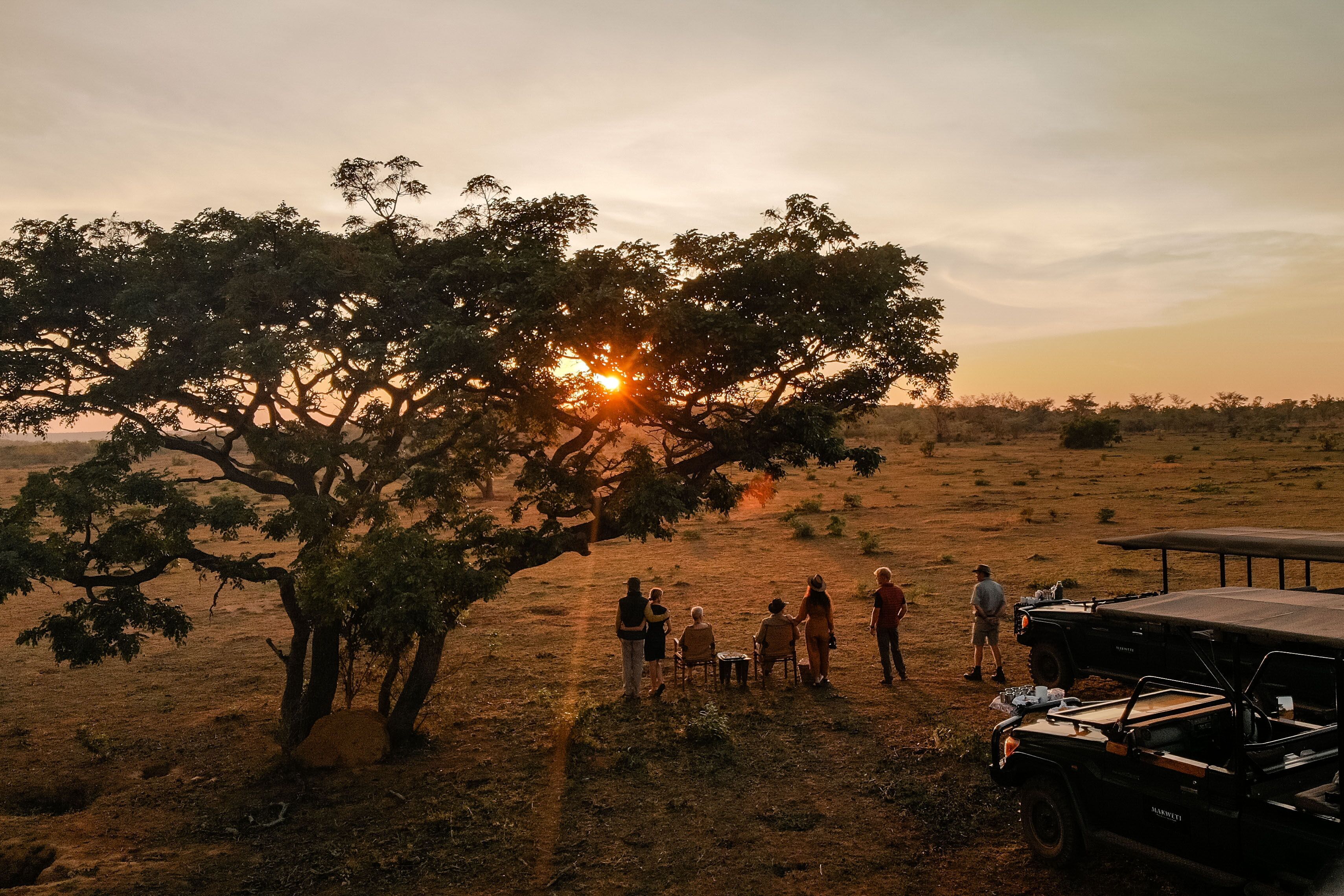 A group of people gathered around a tree in a dry, open landscape during sunset.