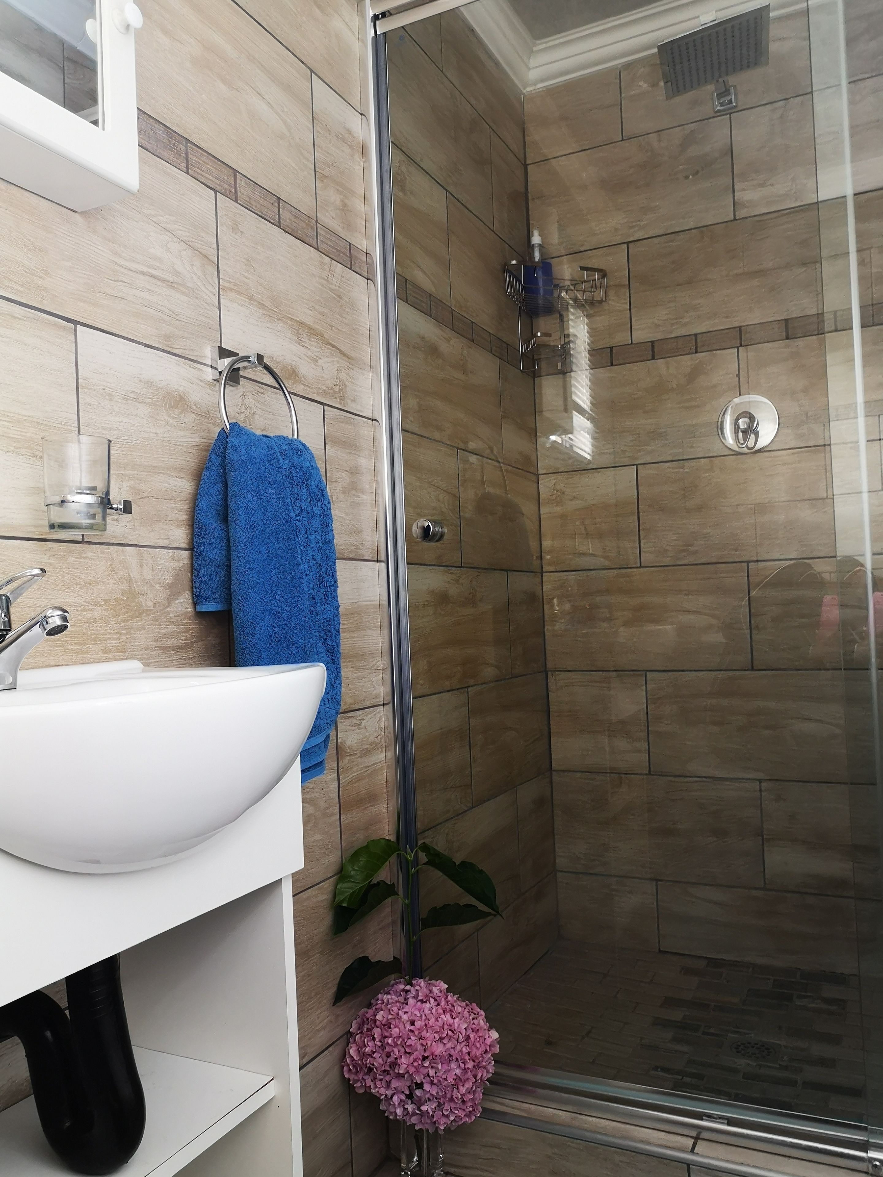Un baño con un lavamanos blanco, una toalla azul, una cabina de ducha de vidrio y una planta en maceta.