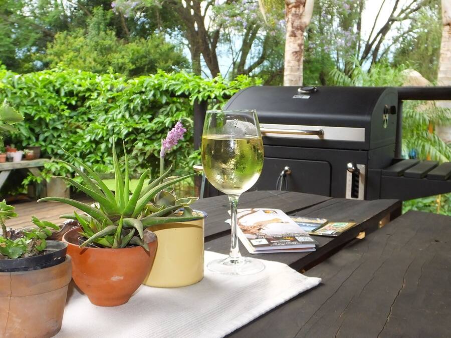 Una mesa de madera con una copa de vino blanco, tres macetas con plantas y una parrilla en un jardín.