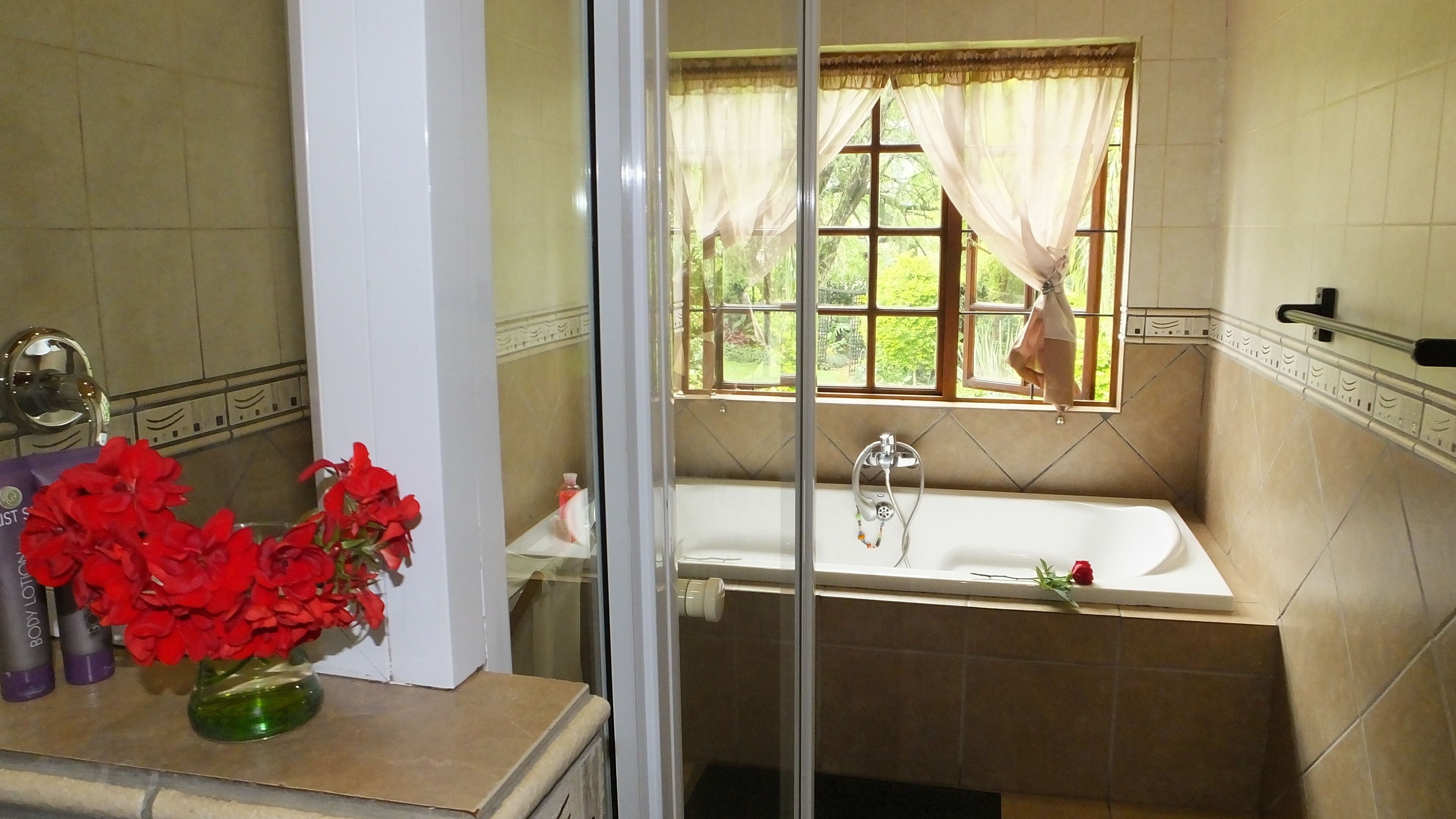 A bathroom with a bathtub, a window with curtains, and a vase with red flowers on the counter.