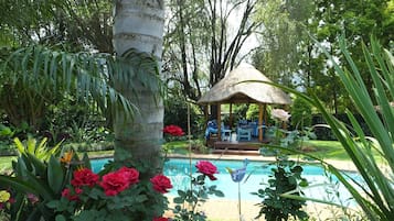 Una piscina al aire libre, sillones reclinables de piscina