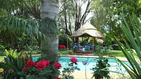 Una piscina al aire libre, sillones reclinables de piscina
