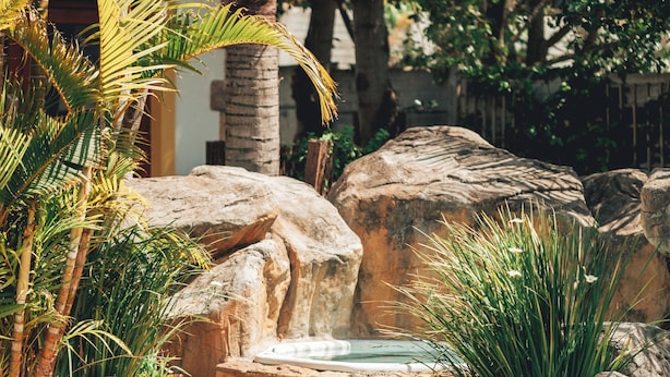 A pool surrounded by large rocks and palm trees. - Villa Chad Luxury Guesthouse (Kleinmond)