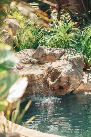 Outdoor pool, pool umbrellas, pool loungers - Villa Chad Luxury Guesthouse (Kleinmond)