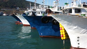 Un puerto deportivo con varias embarcaciones amarradas.