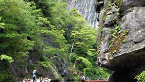 A boat with passengers on a river surrounded by lush greenery and rocky cliffs. - Kajiya Bekkan Ramakkoro Yamenekoyado (Ichinoseki)