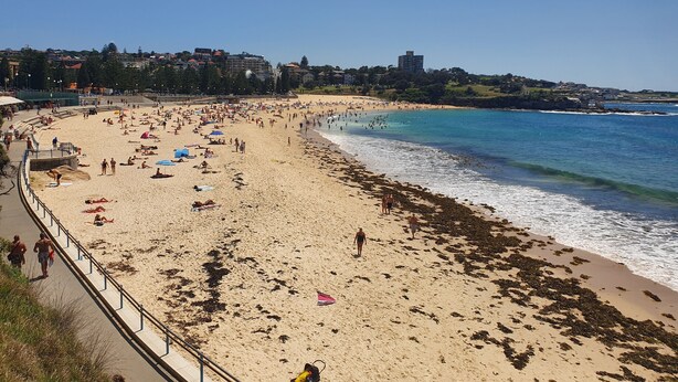 A crowded beach with a walkway along the water. - Coogee Beachside - Hostel (Coogee)