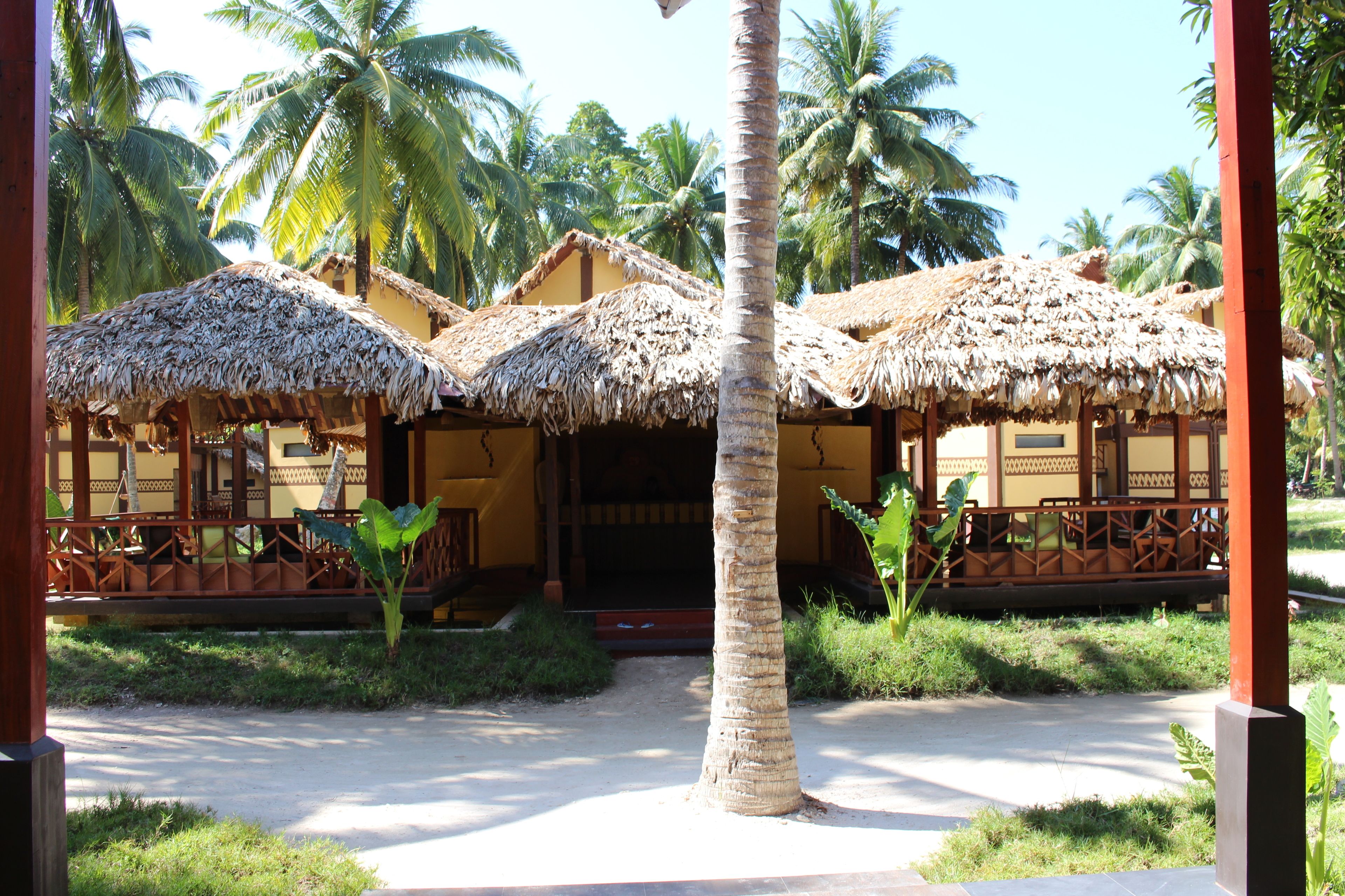 A resort with thatched-roof structures, palm trees, and a paved walkway.