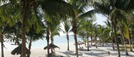 Privat strand i nærheten