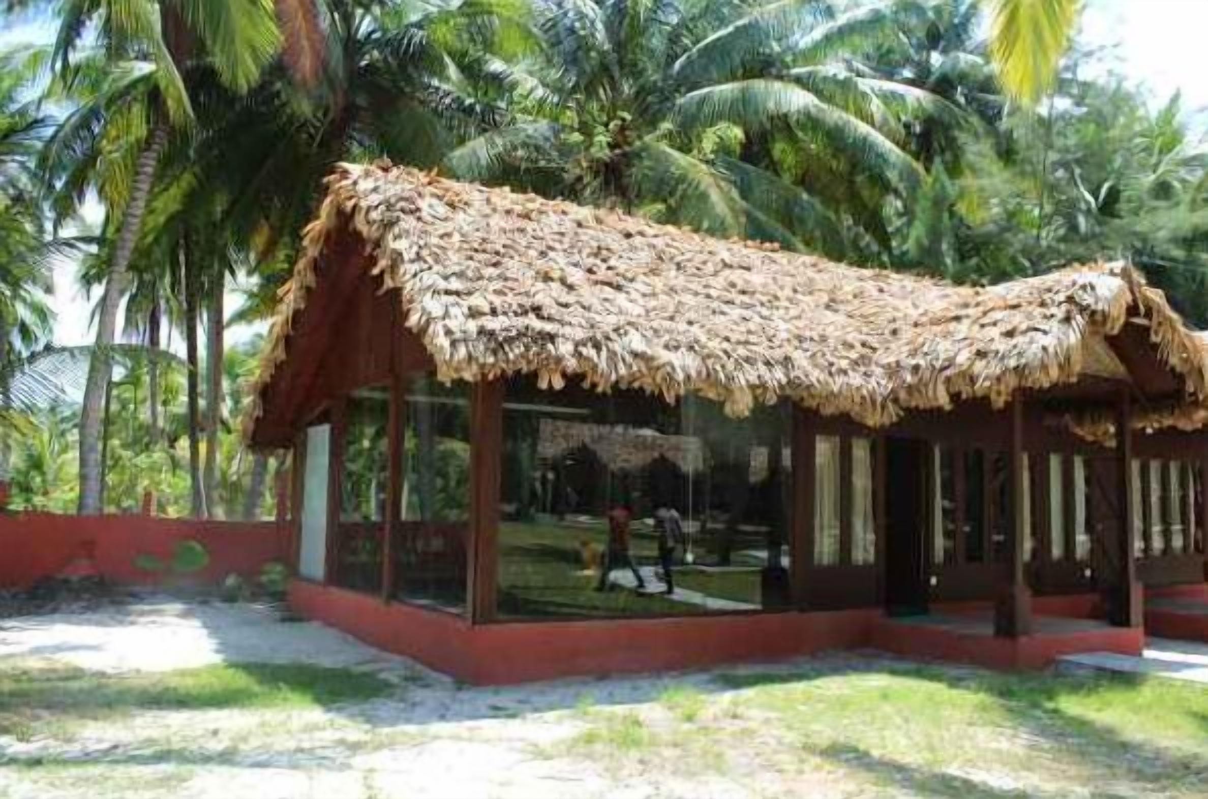 A thatched-roof structure with glass walls, surrounded by palm trees.