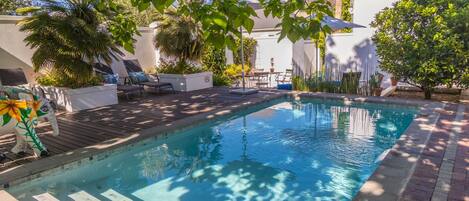 Outdoor pool, sun loungers