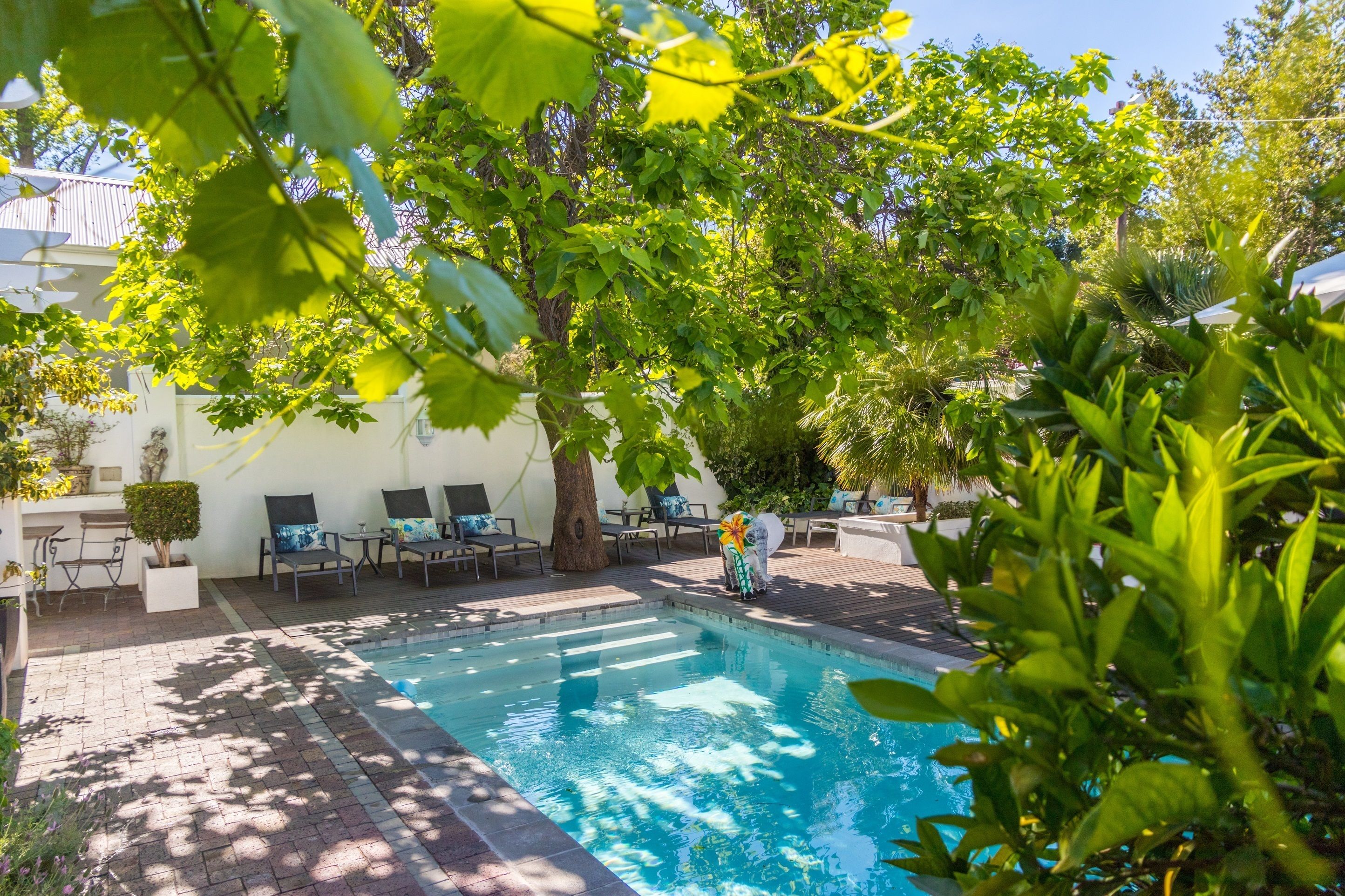 Et poolområde med en klar, blå pool omgivet af frodig vegetation og udendørs møbler.
