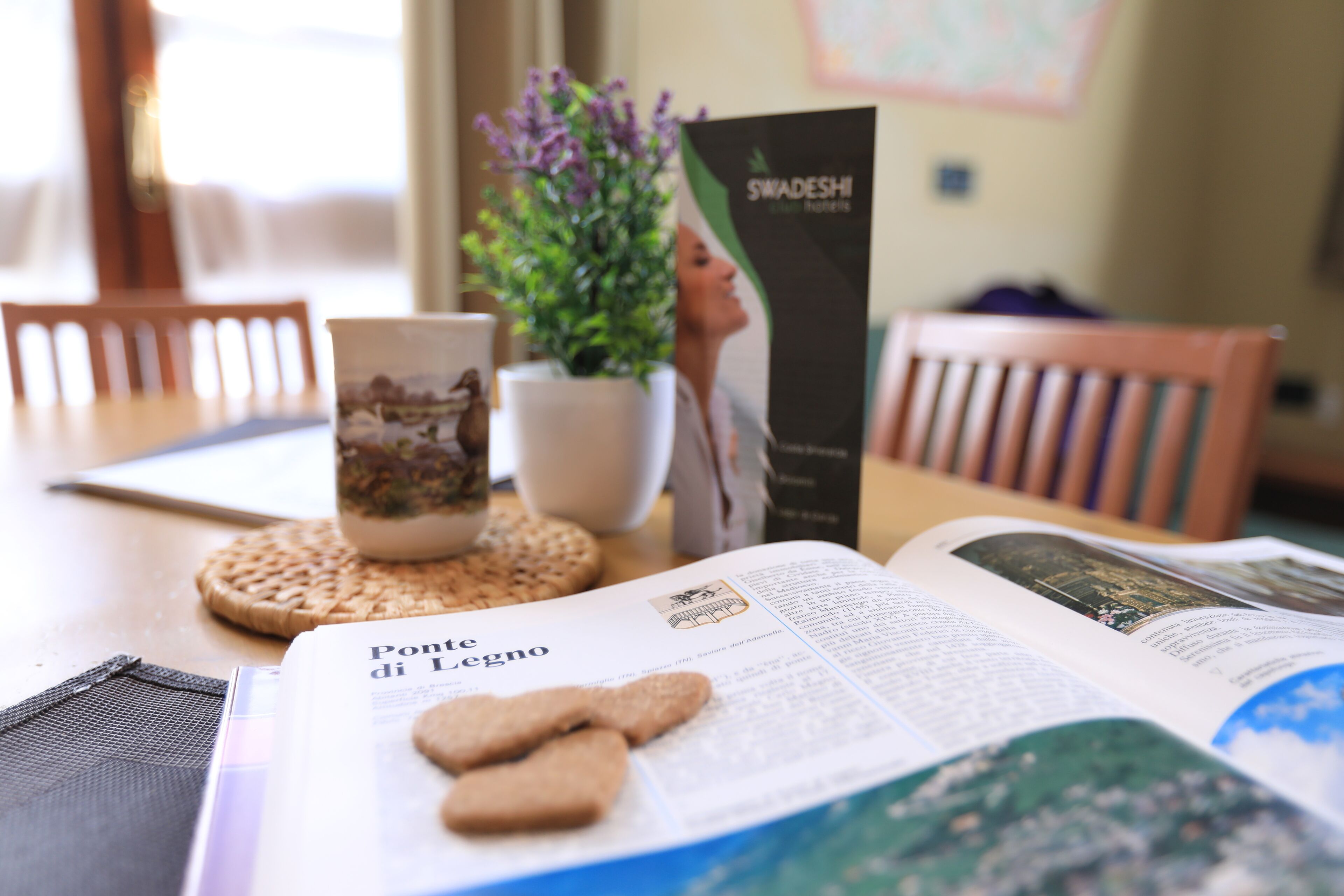A book open on a table with a magazine, a cup, and a plant.