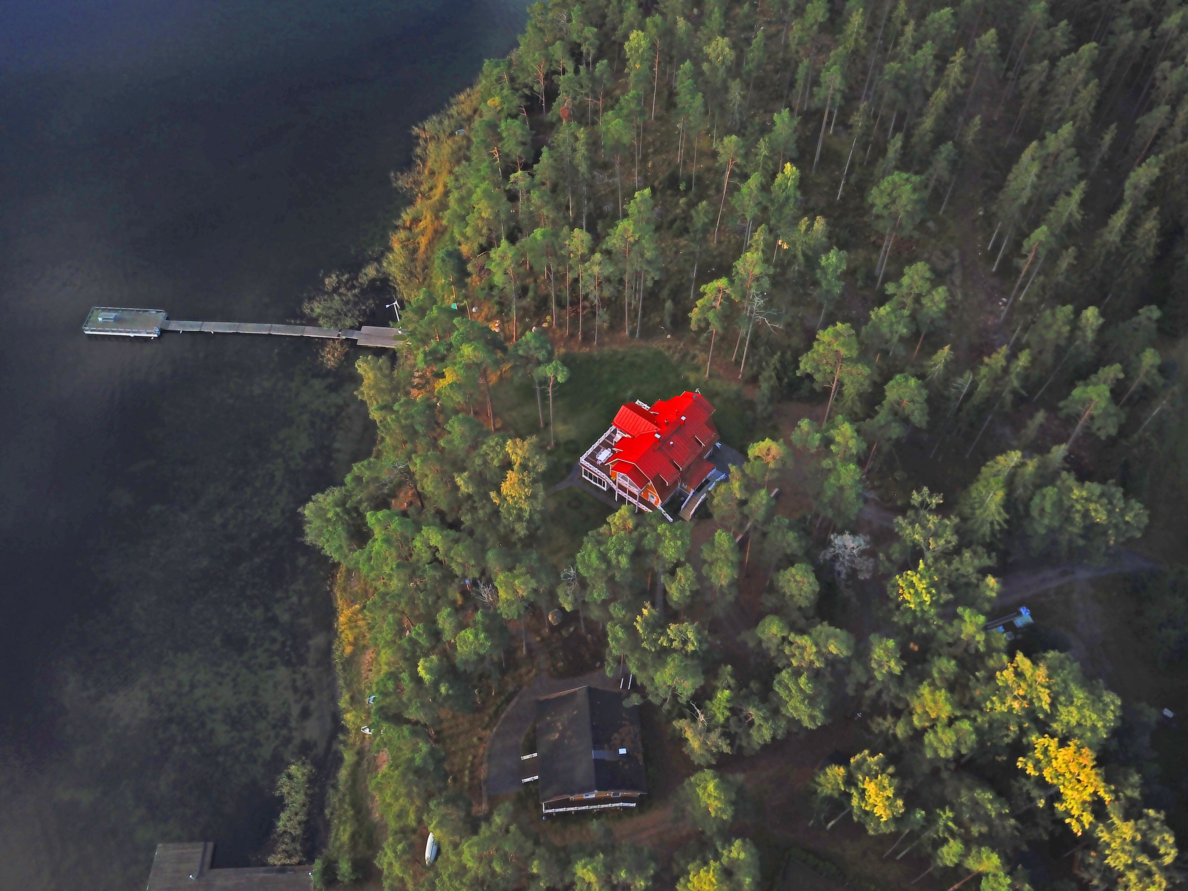 Vista aérea de una zona boscosa con un edificio de techo rojo rodeado de árboles frondosos.