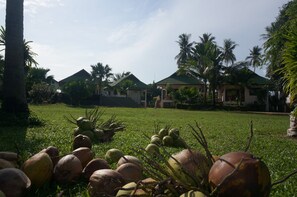 الإطلالة من المنشأة