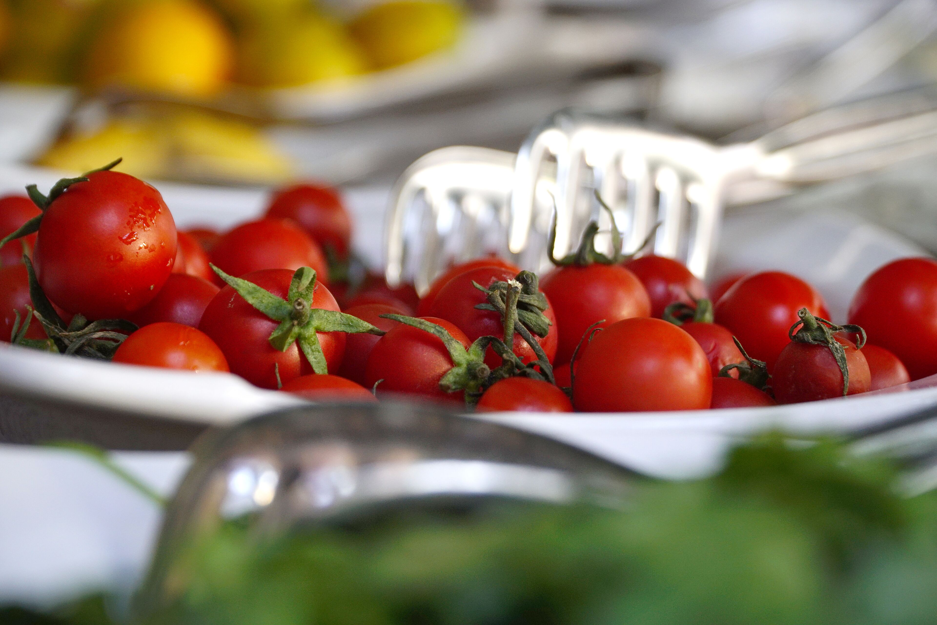 Foto - La Paloma Hotel