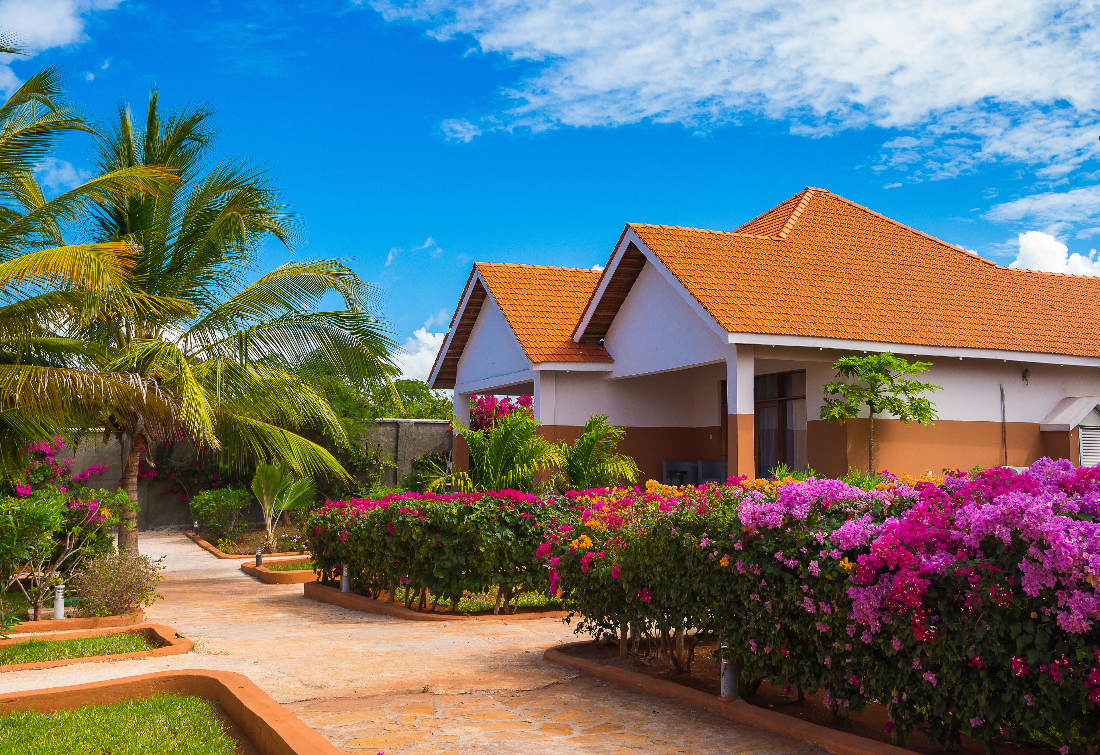 Superior Double Room, 1 King Bed, Garden View, Garden Area | Garden