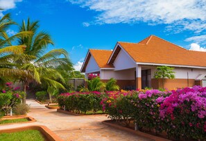 Habitación doble superior, 1 cama King size, vista al jardín, en el área del jardín | Jardín