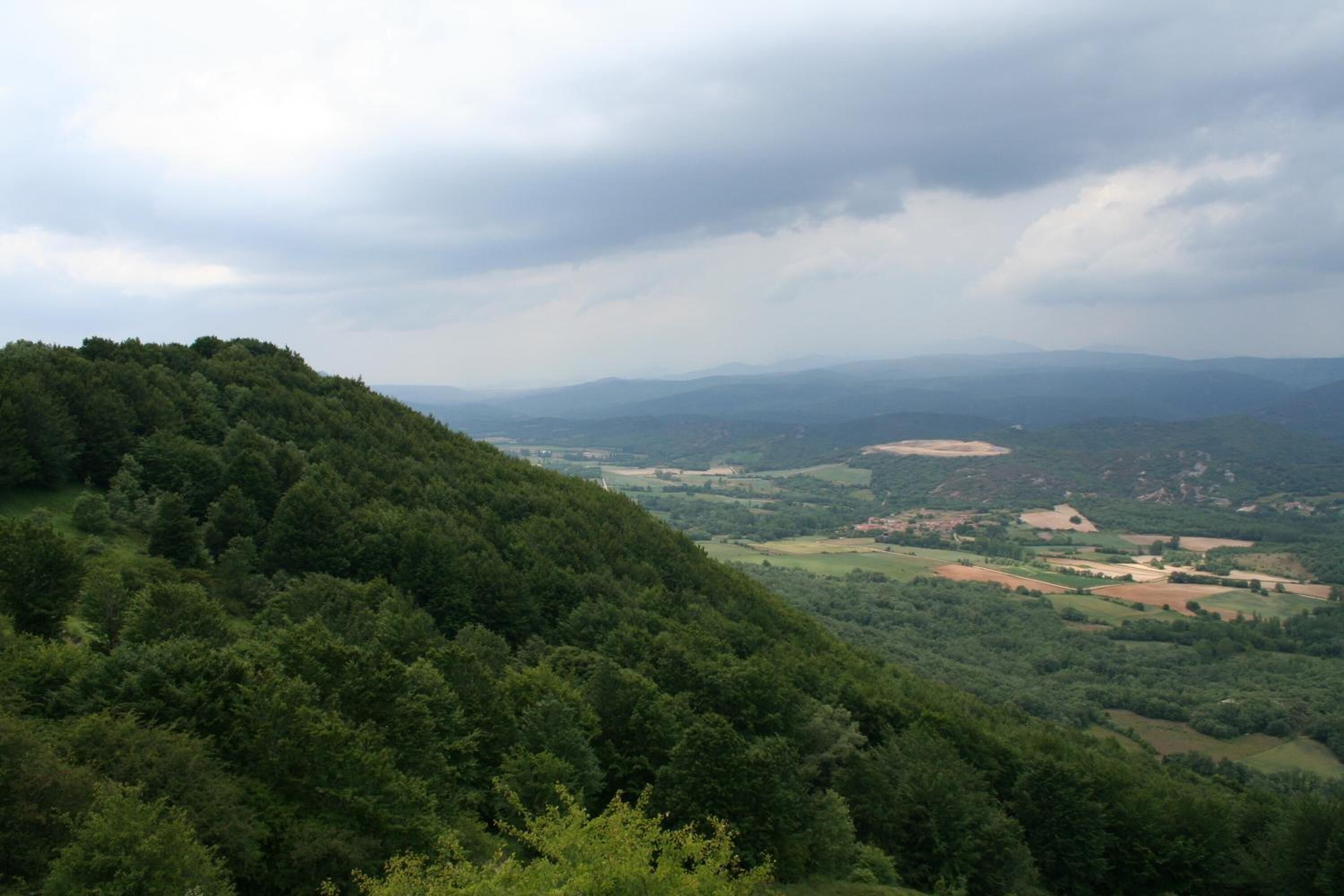 Une vue panoramique d’un paysage vallonné, avec de vastes forêts et des champs cultivés.