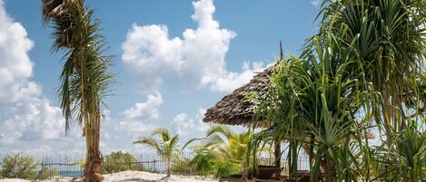 屋外プール、プール パラソル、サンラウンジャー