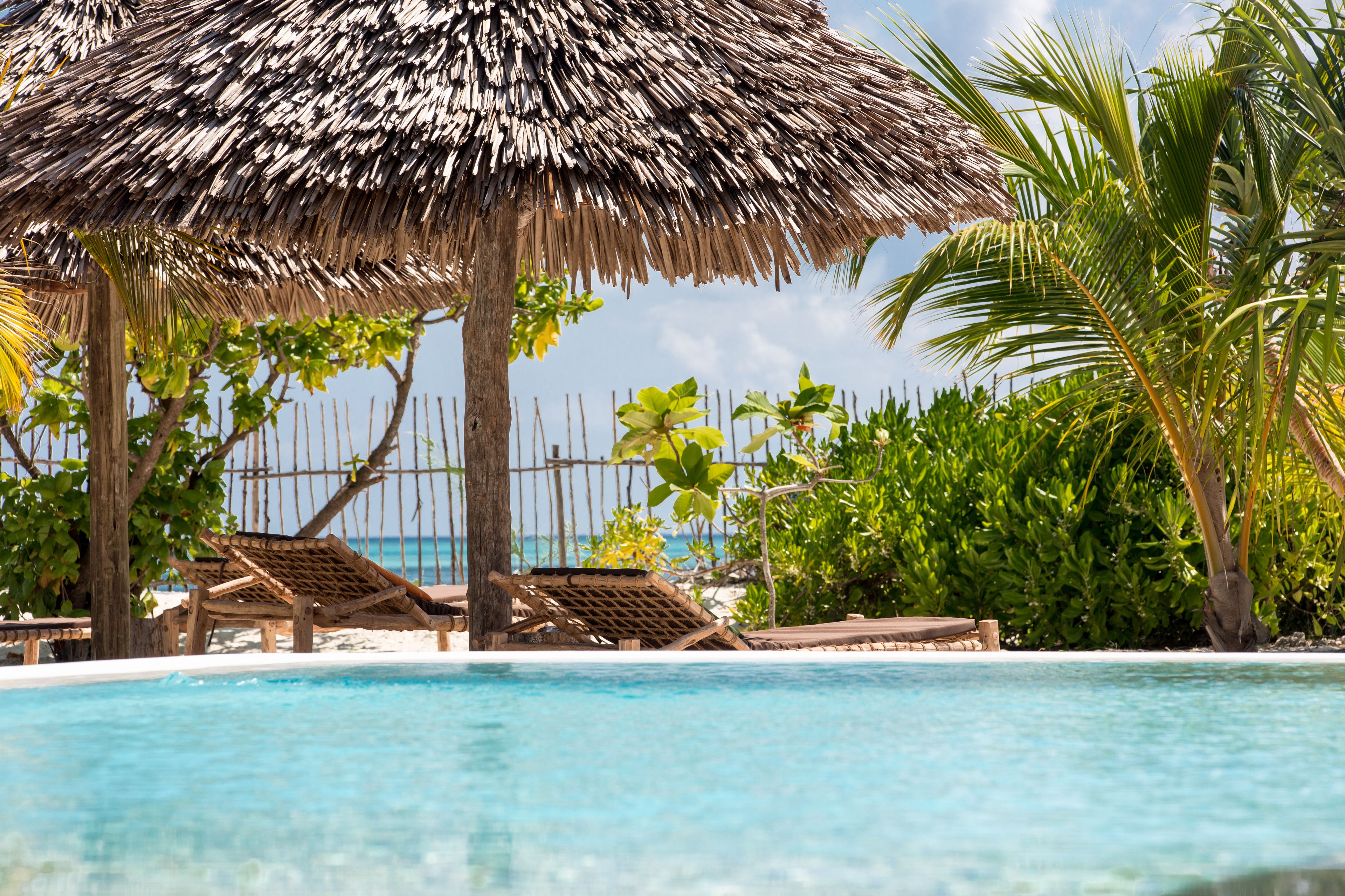 outdoor pool, pool umbrellas, pool loungers