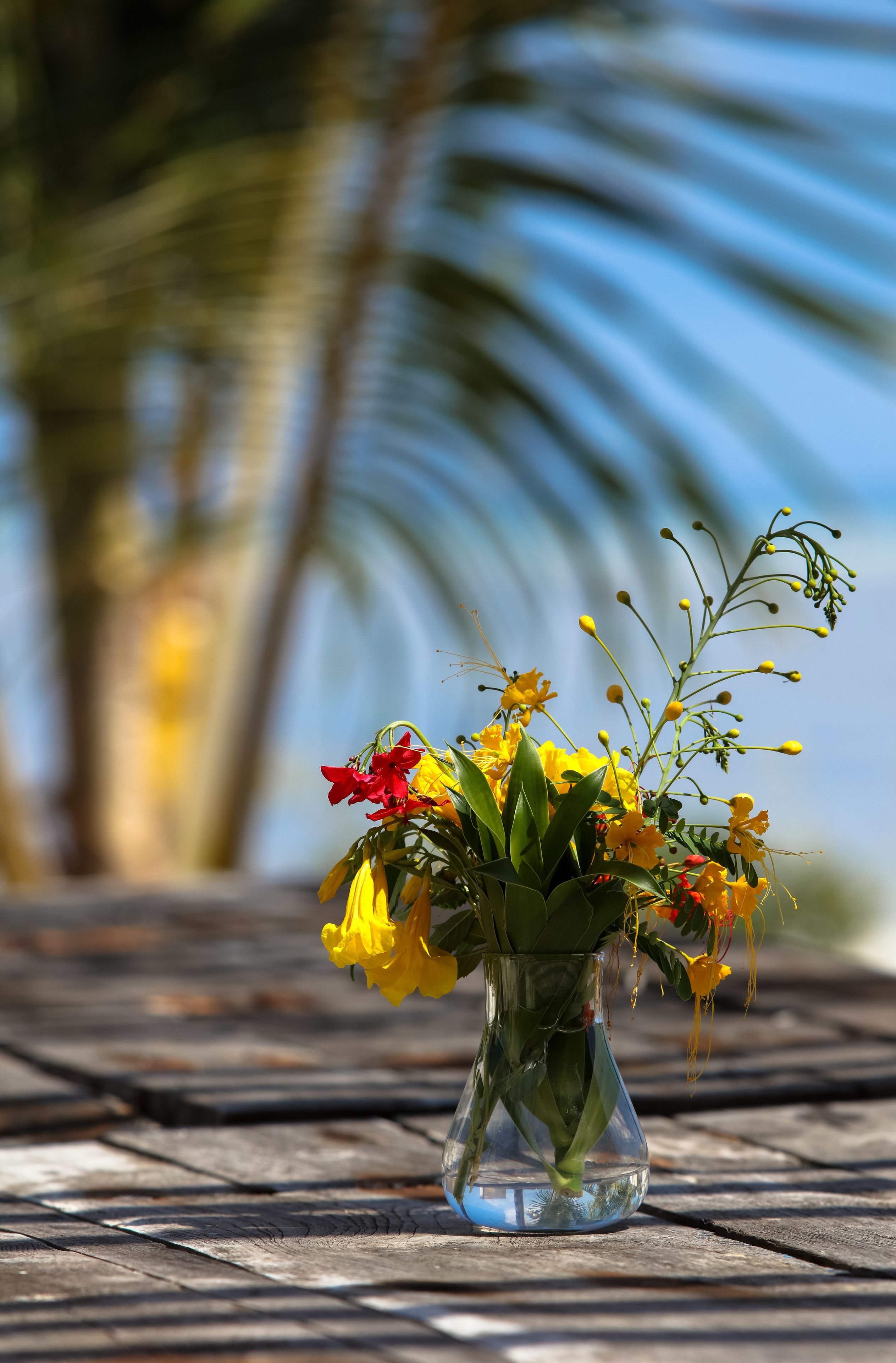 Foto - Qambani Luxury Resort