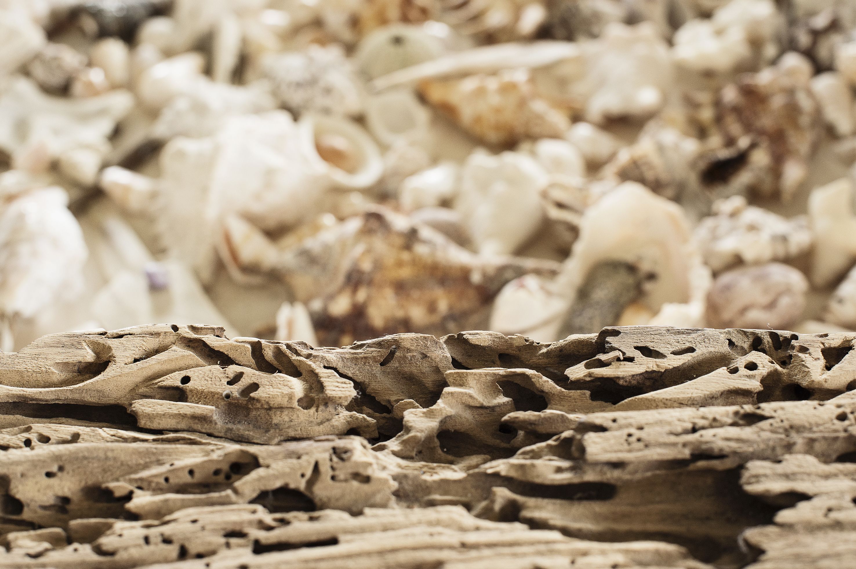 Foto - Qambani Luxury Resort