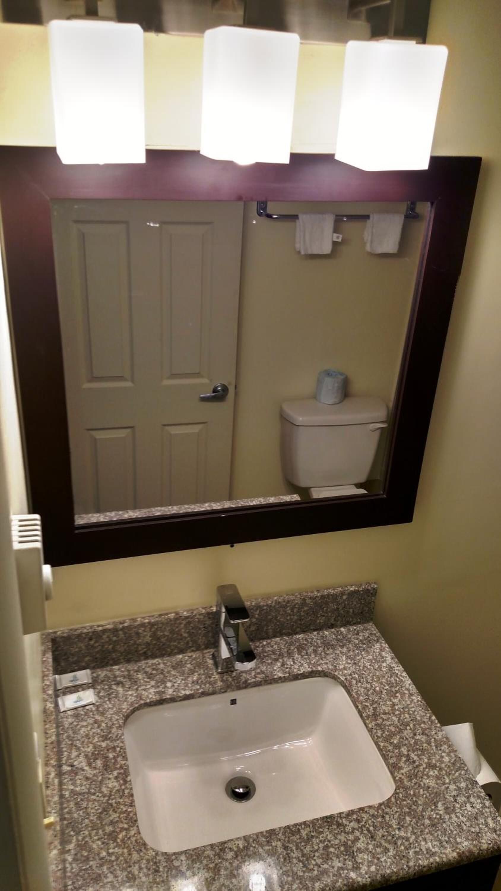 A bathroom with a sink, mirror, and toilet.