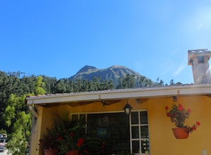 A building with a yellow facade, a window, and a hanging flower pot. -  Casa de Huéspedes Casa de Luis (San Pablo del Lago)