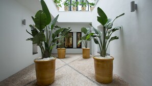 Un pasillo con plantas en macetas, suelo de baldosas y un balcón con plantas.