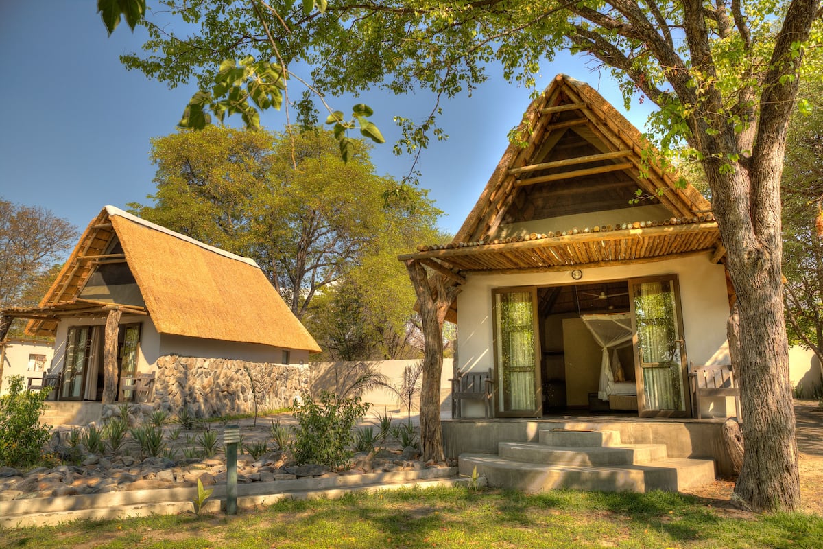 A traditional house with a thatched roof, surrounded by a garden with various plants and a large tree.