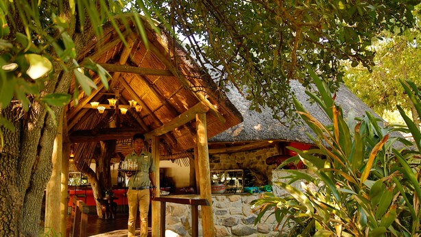 A rustic wooden structure with a thatched roof, surrounded by lush greenery. - Thamalakane River Lodge (Maun)