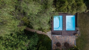 An aerial view of a property with a rectangular swimming pool and a separate smaller pool, surrounded by dense greenery and a stone deck. - Thamalakane River Lodge (Maun)