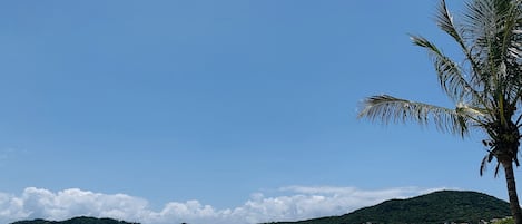 Nära stranden, vit sandstrand, solstolar och parasoller
