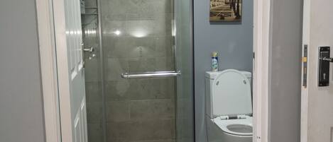 A modern bathroom with a glass shower enclosure, a toilet, and a small shelf with toiletries.