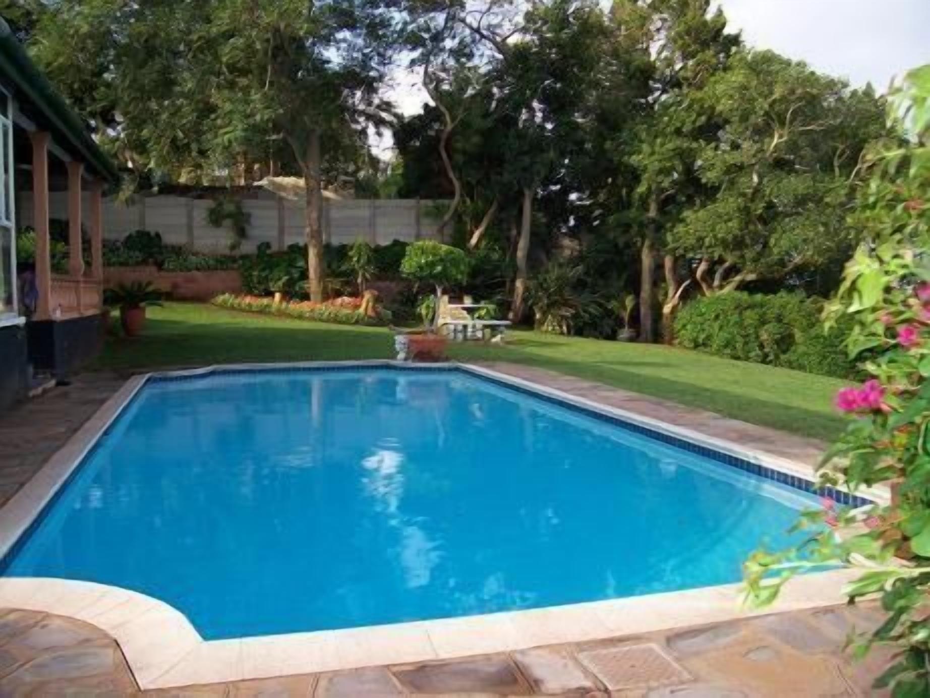 Una piscina rectangular con borde de piedra, rodeada por un césped cuidado y árboles.