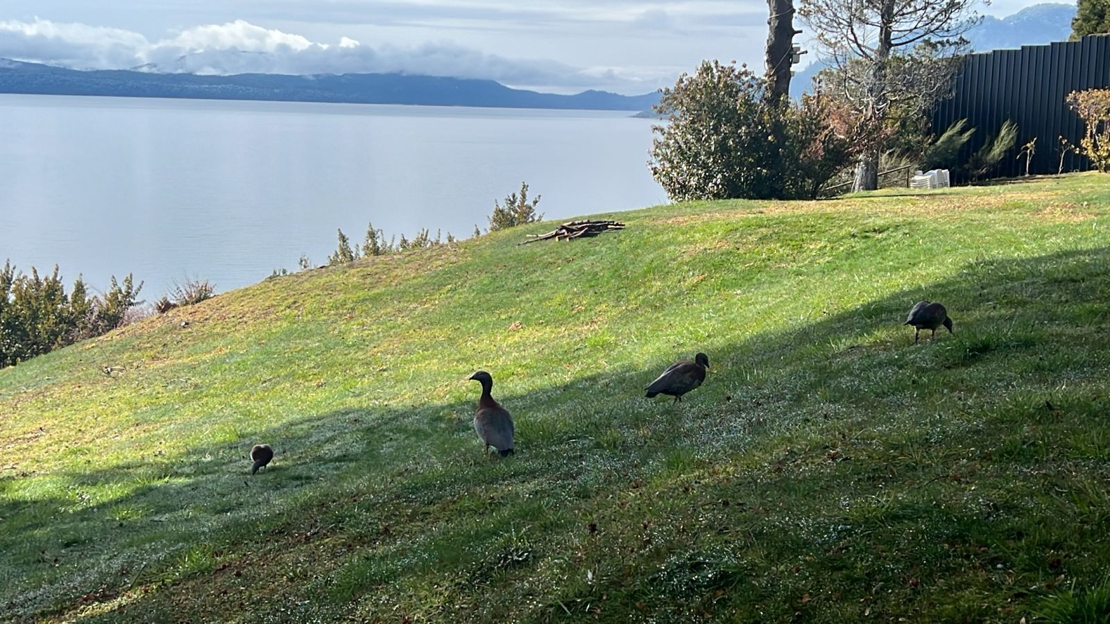 Photo - Costa Brava Apart Hotel & Suites