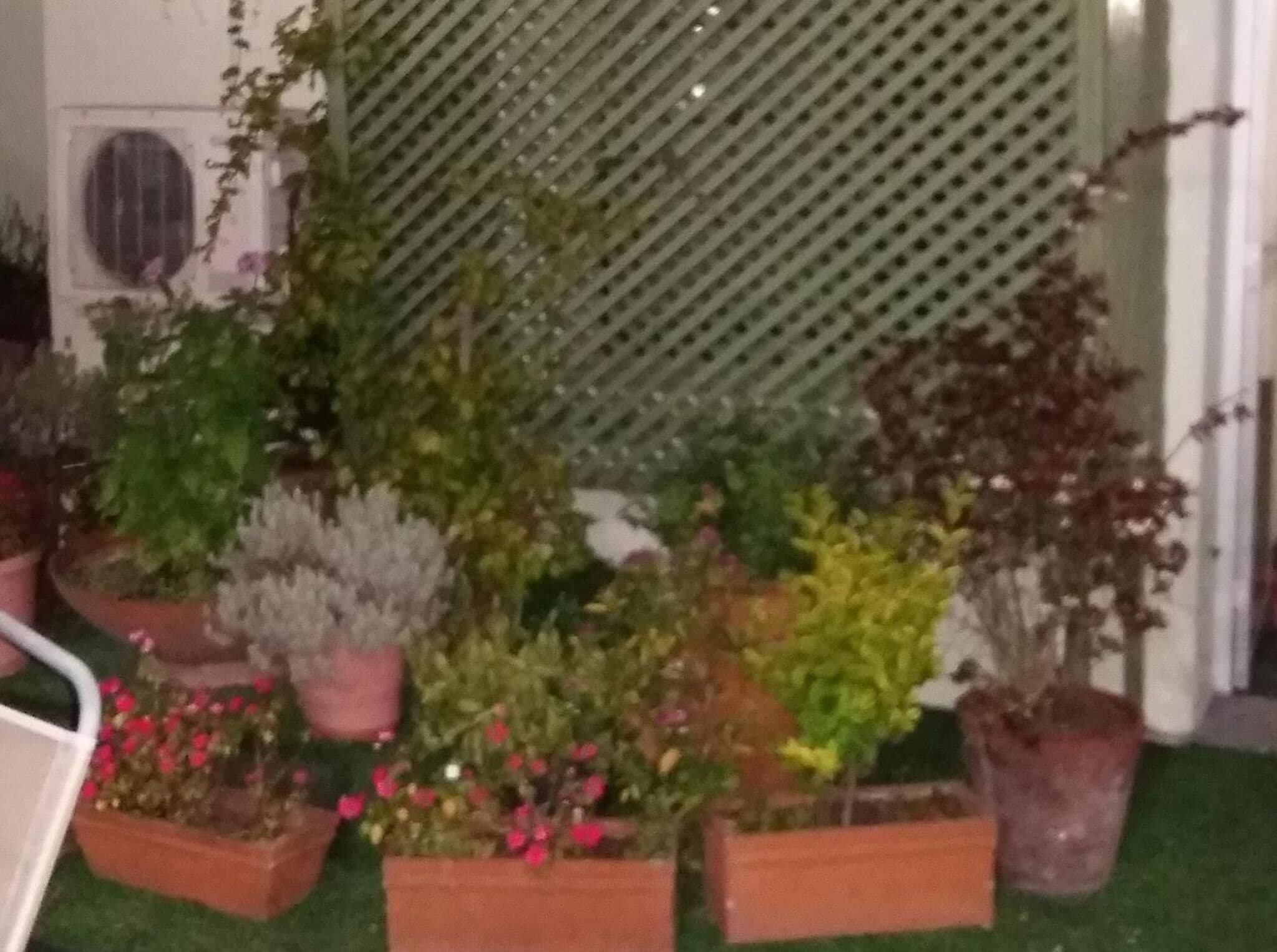 Foto - Hotel Uruguay