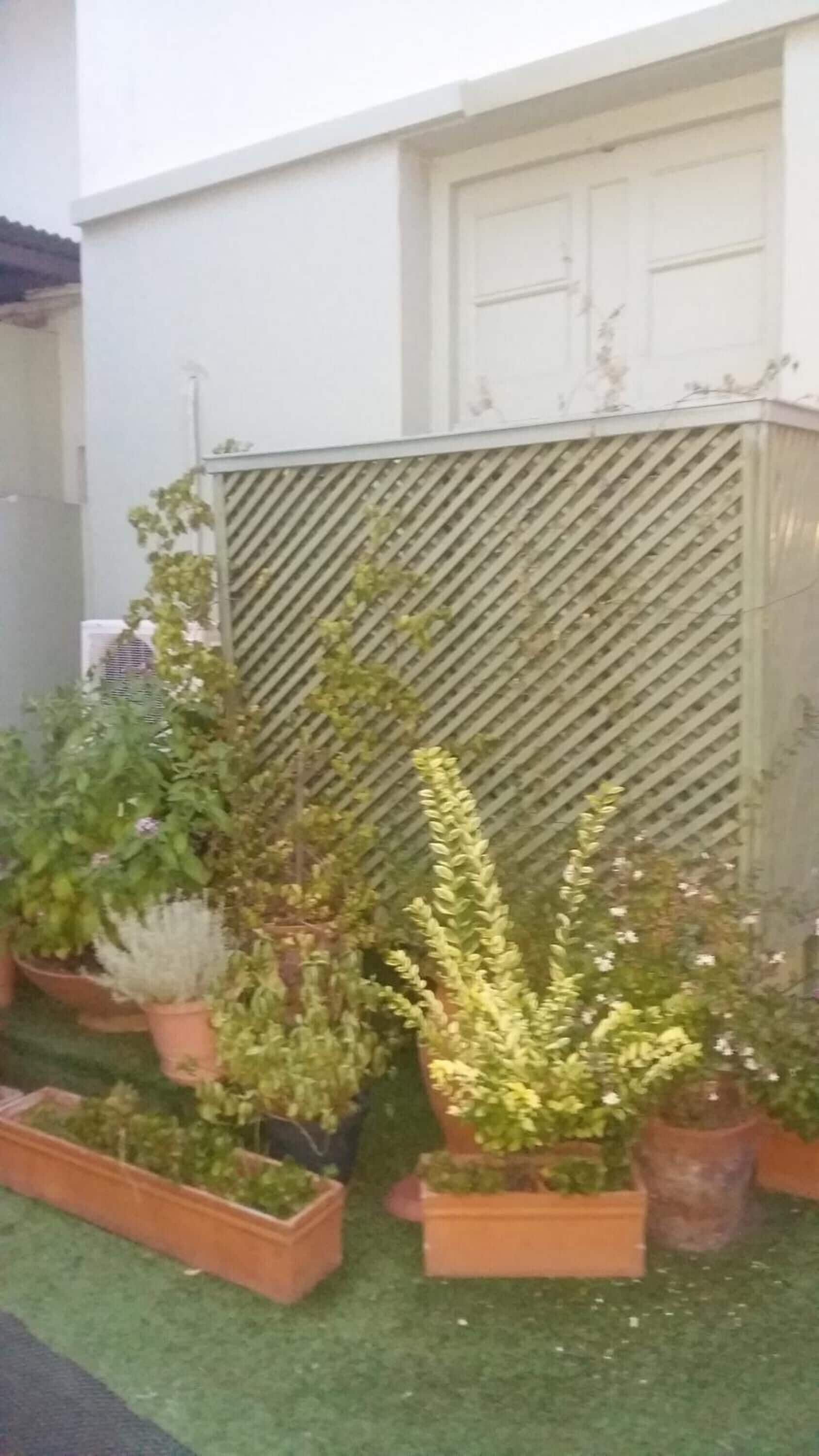 Foto - Hotel Uruguay