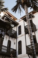 Vista al jardín