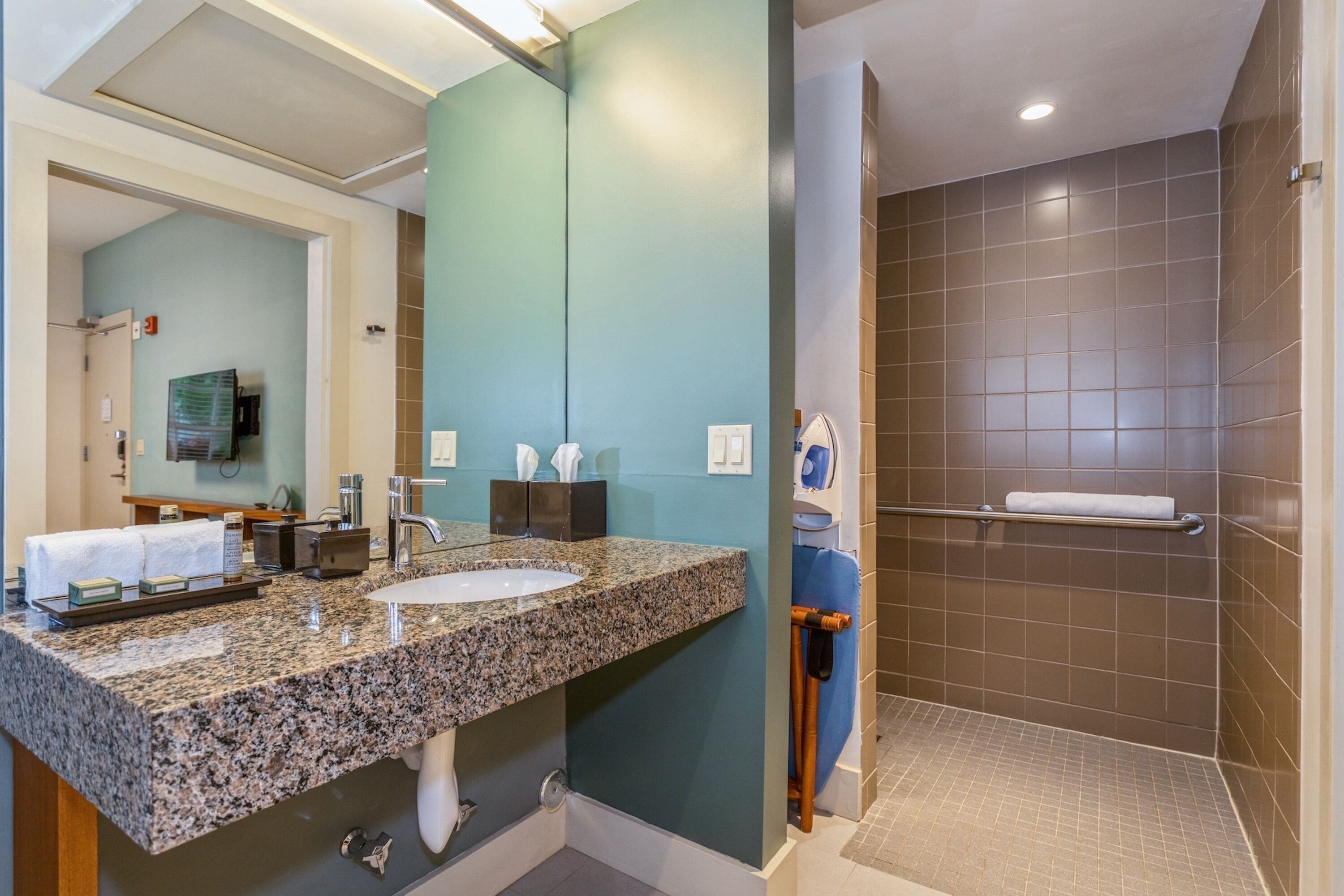 Accessible Queen Room (Self Check-in) | Bathroom | Shower, free toiletries, hair dryer, towels