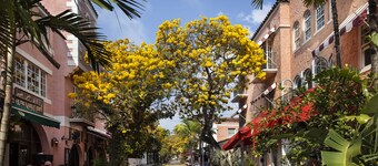 Kasa El Paseo Miami Beach