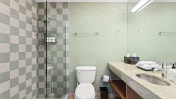 A bathroom with a glass shower enclosure, a toilet, a sink with a towel dispenser, and a mirror.