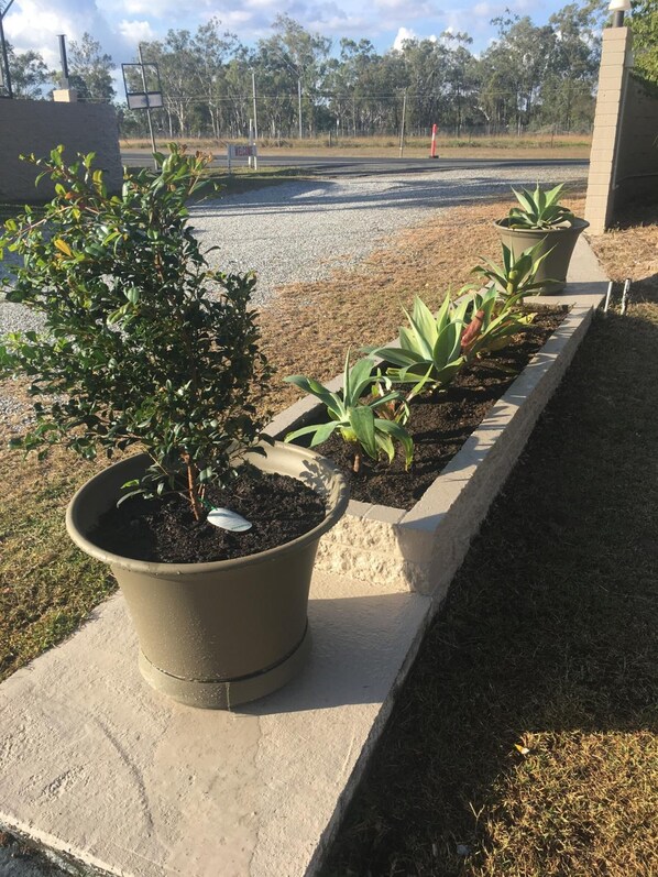 Una calle con plantas en macetas y un cartel que dice 'WELCOME'.