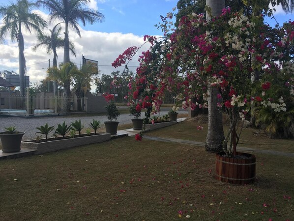 Property grounds - Bororen Motel (Bororen)