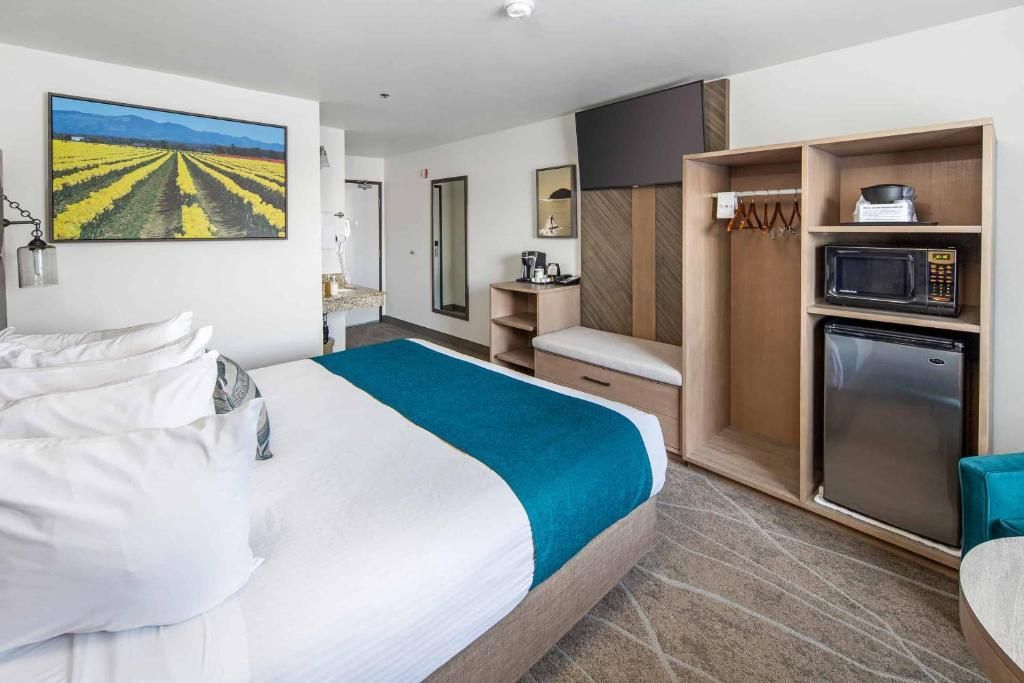 Een hotelkamer met een bed, een magnetron, een koelkast, een wastafel en een groot raam.